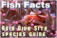 Fish Facts