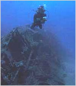 Mosquito Wreck