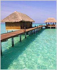 maldives dive sites