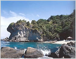 Apo Island