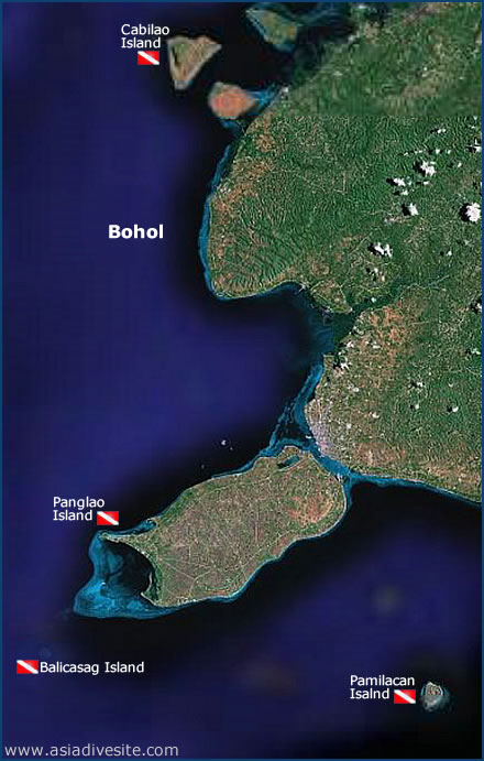 bohol dive sites