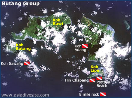 koh lipe dive sites